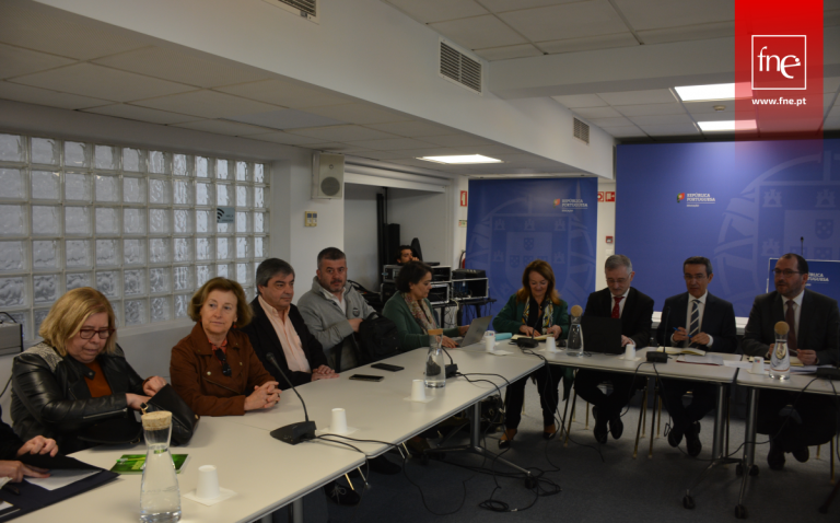 FNE reuniu com ME e Representação da Comissão Europeia em Lisboa