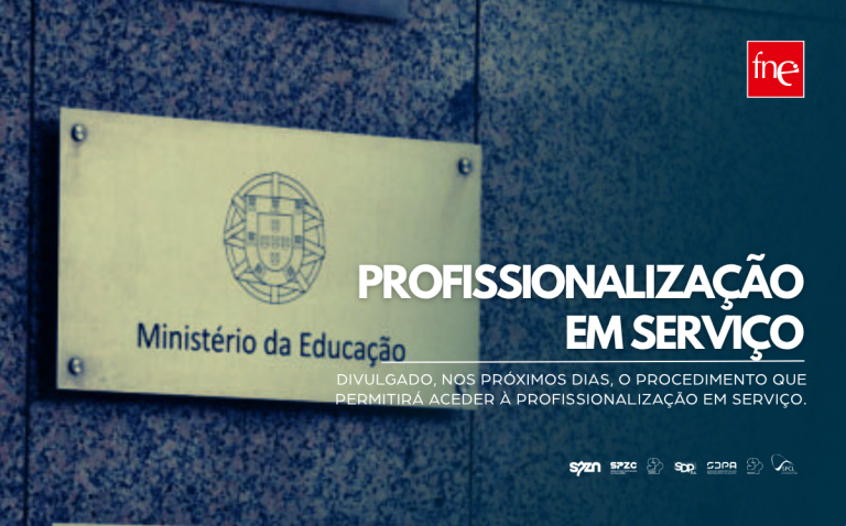 Profissionalização em serviço