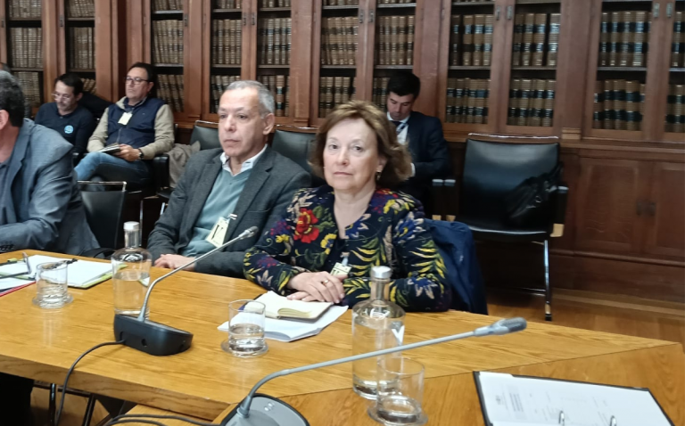 FNE marcou presença na Audição sobre a revisão do ECD na AR