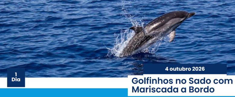 Golfinhos no Sado com Mariscada a Bordo – 4 de outubro